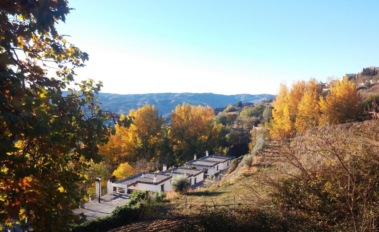 Turismo Rural & Spa El Cercado Berchules